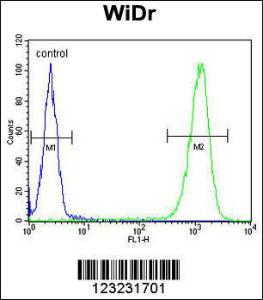 Anti-TSPAN33 Rabbit Polyclonal Antibody (APC (Allophycocyanin))