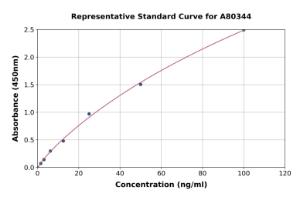 Representative standard curve for Rat Neutrophil Elastase ELISA kit (A80344)