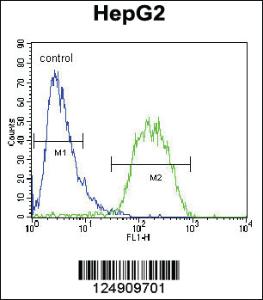 Anti-KDM6B Rabbit Polyclonal Antibody