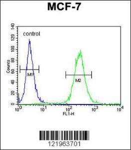 Flow cytometric analysis of MCF-7 cells (right histogram) compared to a negative control cell (left histogram) FITC-conjugated goat-anti-rabbit secondary antibodies were used for the analysis