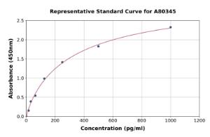 Representative standard curve for Rat Nestin ELISA kit (A80345)