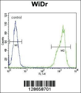 Anti-RT4I1 Rabbit Polyclonal Antibody