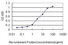 Anti-XRCC6 Mouse Monoclonal Antibody [clone: 4C2-1A6]