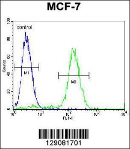 Anti-WDR27 Rabbit Polyclonal Antibody (PE (Phycoerythrin))