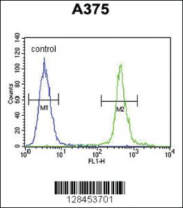 Anti-CASZ1 Rabbit Polyclonal Antibody