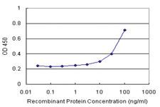 Anti-HBZ Antibody Pair