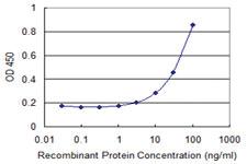 Anti-XRCC6 Mouse Monoclonal Antibody [clone: 3D12]