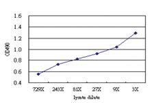 Anti-IFITM1 Antibody Pair