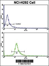 Anti-ELP2 Rabbit Polyclonal Antibody