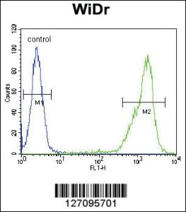 Anti-ZNF180 Rabbit Polyclonal Antibody