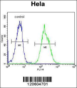 Anti-MAPRE1 Rabbit Polyclonal Antibody (Biotin)