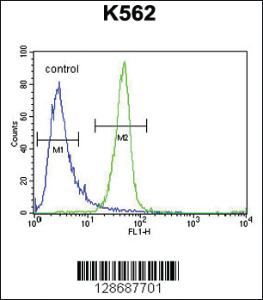 Anti-ANKRD52 Rabbit Polyclonal Antibody