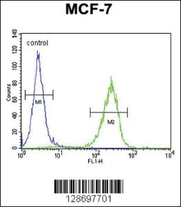 Anti-CO027 Rabbit Polyclonal Antibody