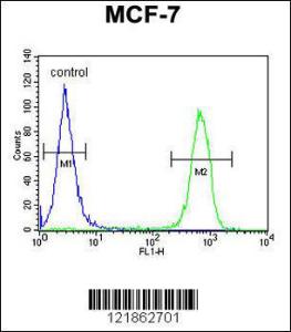 Anti-MARCH5 Rabbit Polyclonal Antibody (APC (Allophycocyanin))