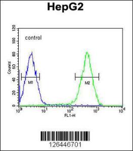 Anti-ATXN2L Rabbit Polyclonal Antibody (AP (Alkaline Phosphatase))