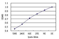 Anti-PLCD4 Antibody Pair