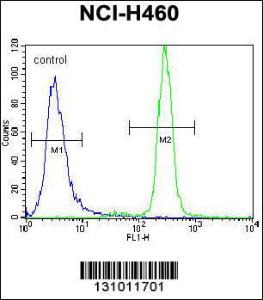 Anti-UNQ3029 Rabbit Polyclonal Antibody (APC (Allophycocyanin))