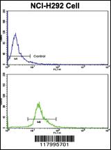 Anti-PROCR Rabbit Polyclonal Antibody