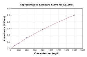 Representative standard curve for Human CYP2C9 ELISA kit (A312044)