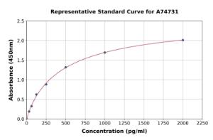 Representative standard curve for Human Collagen VI ELISA kit (A74731)