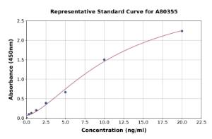 Representative standard curve for Rat Progesterone Receptor ELISA kit (A80355)