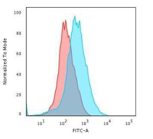 Flow cytometric analysis of paraformaldehyde fixed Jurkat cells using Anti-CD31 Antibody [C31/2876R] followed by Goat Anti-Rabbit IgG (CF&#174; 488) (Blue). Isotype Control (Red).