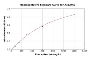 Representative standard curve for Human LC3B ELISA kit (A312460)