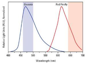 Gaussia-firefly luciferase dual assay kit, Pierce™, Thermo Scientific