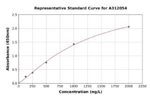 Representative standard curve for Mouse Cpeb2 ELISA kit (A312054)