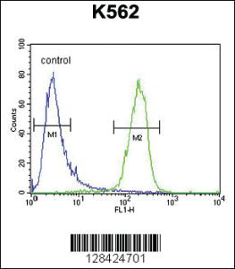 Anti-SLC25A52 Rabbit Polyclonal Antibody