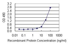 Anti-LTBR Mouse Monoclonal Antibody (Biotin)