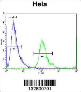 Anti-MBNL2 Rabbit Polyclonal Antibody (Biotin)