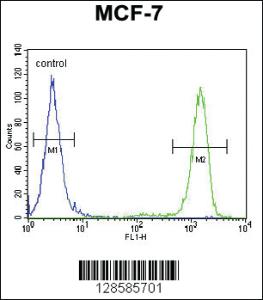 Anti-EFHB Rabbit Polyclonal Antibody