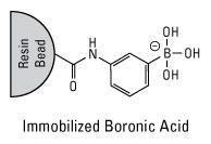 Boronic acid resin