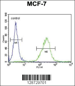 Anti-OR6C4 Rabbit Polyclonal Antibody