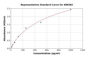 Representative standard curve for Rat Phospho Tau ELISA kit (A80362)