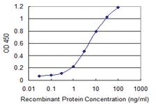 Anti-SRP54 Mouse Monoclonal Antibody [clone: 2G7]