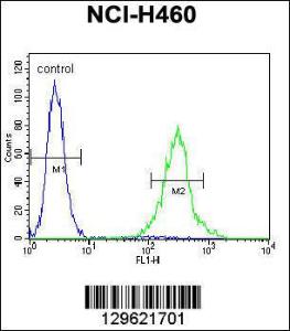 Anti-PRSS55 Rabbit Polyclonal Antibody (APC (Allophycocyanin))