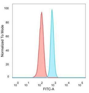 Flow cytometric analysis of PFA-fixed HeLa cells using Anti-ZNF81 Antibody [PCRP-ZNF81-2C7] followed by Goat Anti-Mouse IgG (CF&#174; 488) (Blue). Isotype Control (Red).