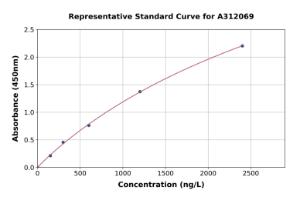 Representative standard curve for Human LCT ELISA kit (A312069)