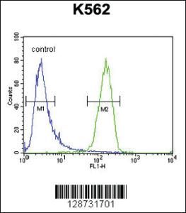 Anti-IQCJ Rabbit Polyclonal Antibody