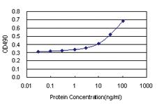 Anti-TFPI Polyclonal Antibody Pair