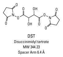 DST (Disuccinimidyl tartrate), Pierce™