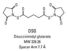 DSG (Disuccinimidyl glutarate), Pierce™