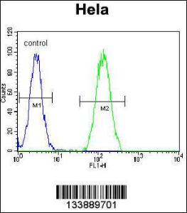 Anti-BMP2 Rabbit Polyclonal Antibody (AP (Alkaline Phosphatase))