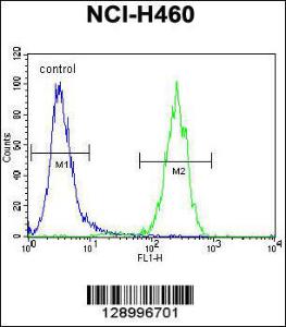 Anti-ATXN7L2 Rabbit Polyclonal Antibody (AP (Alkaline Phosphatase))