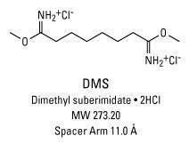 PEGylated BM (bismaleimido) Crosslinkers, Homobifunctional, Pierce™