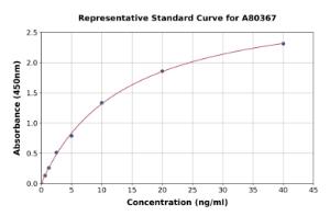 Representative standard curve for Rat Synaptophysin ELISA kit (A80367)