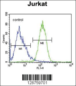 Anti-SLFN12L Rabbit Polyclonal Antibody