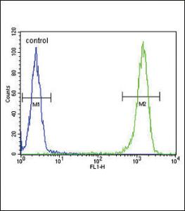 Anti-MC2R Rabbit Polyclonal Antibody (HRP (Horseradish Peroxidase))